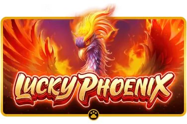 mmslot Live Baccarat dealer table ကတ်ဂိမ်း live streaming မြင်ကွင်း